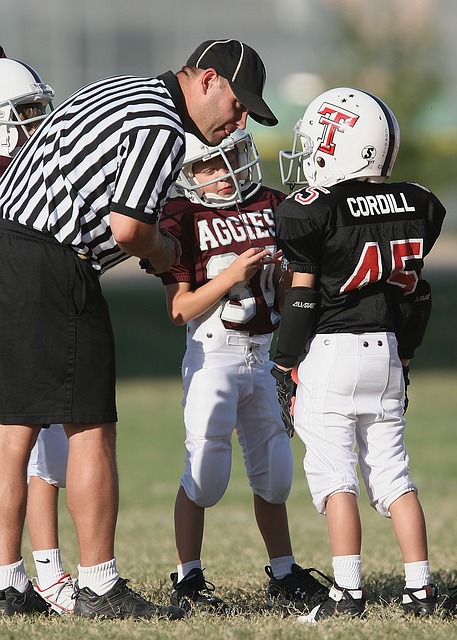 標杆的地位 標杆的地位