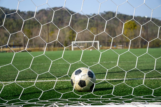 的职业操守 的职业操守