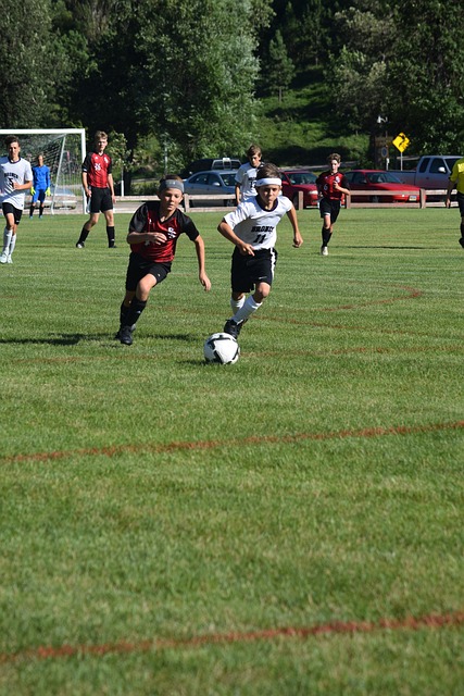 歷史上的體 歷史上的體