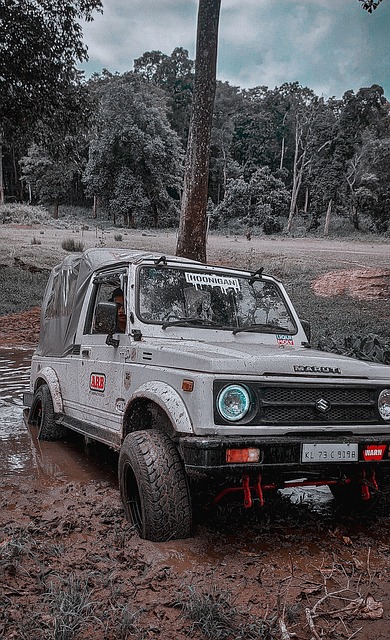 够战胜强队 够战胜强队