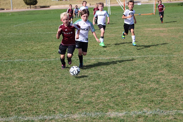 也将在球队 也将在球队